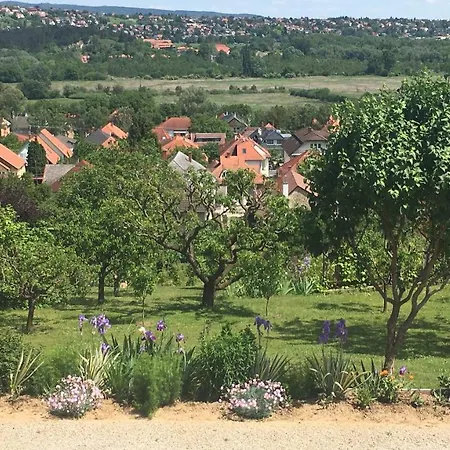 Hevizquelle *
