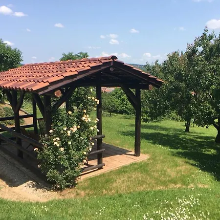 Hevizquelle