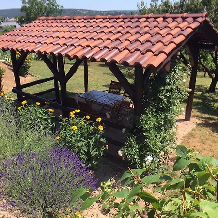 Hevizquelle ヘーヴィーズ